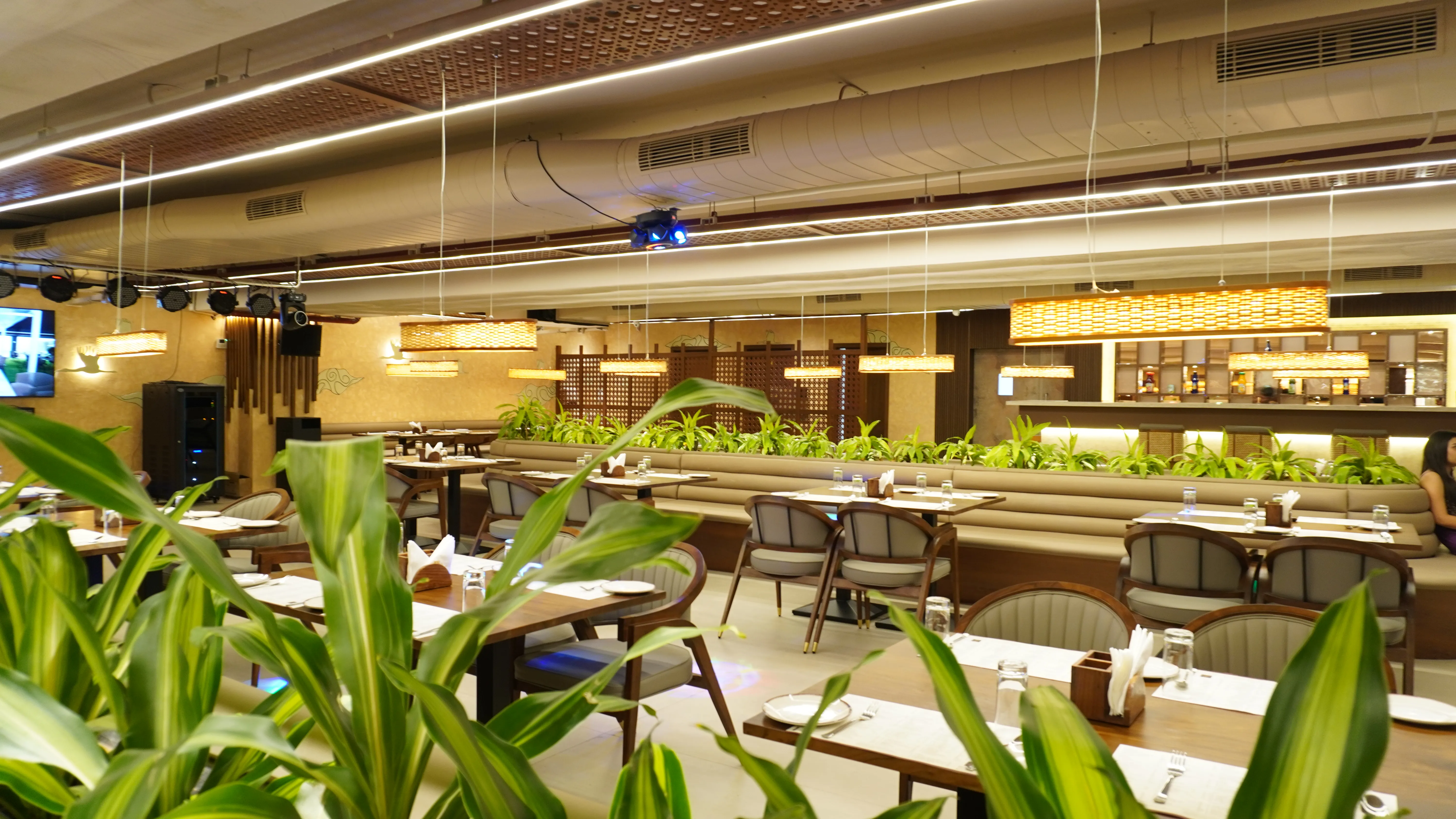 Horizontal image of a winding road through a dense forest with autumn colors