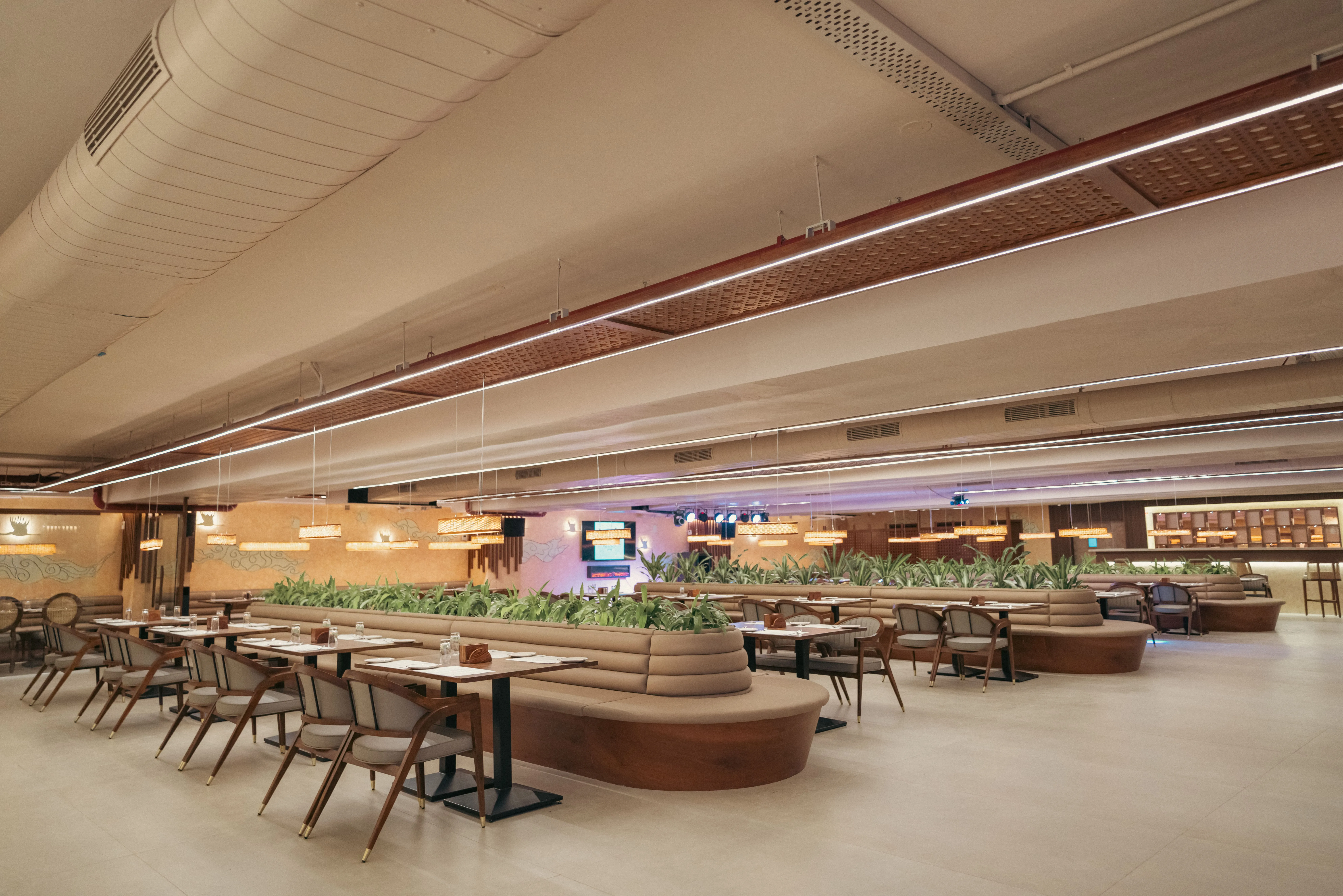 Hotel exterior view with luxury vehicles